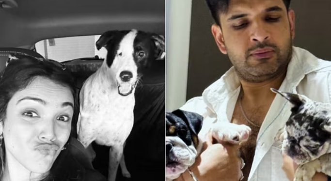 Celebrating International Dog Day